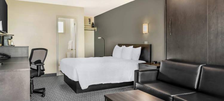 罗德威酒店(Rodeway Inn)图片