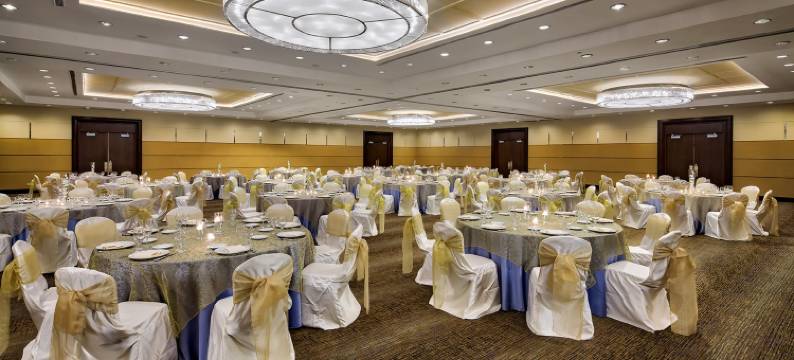 芝加哥希尔顿逸林酒店-阿灵顿高地(DoubleTree by Hilton Hotel Chicago - Arlington Heights)图片