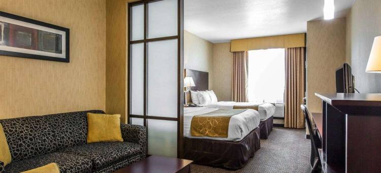 洛杉矶工业城附近舒适套房酒店(Comfort Suites Near City of Industry - Los Angeles)图片