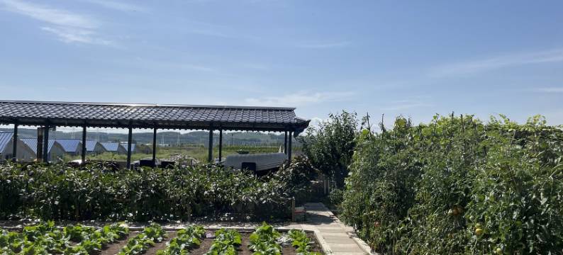 遇见光石朝鲜族民宿(光石大桥分店)图片