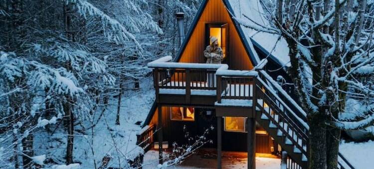 设计师A字形木屋 · 森林热水浴池 · 火盆(Designer A-Frame · Forest Hot Tub · Fire Pit)图片
