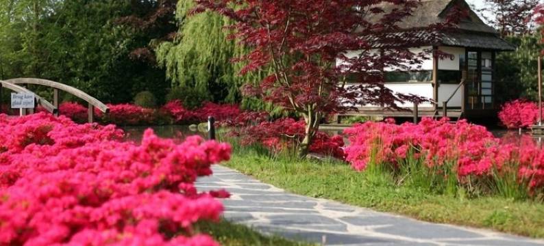 布朗斯贝尔根酒店及康体中心(De Bronsbergen Boutique Wellness & Hotel)图片