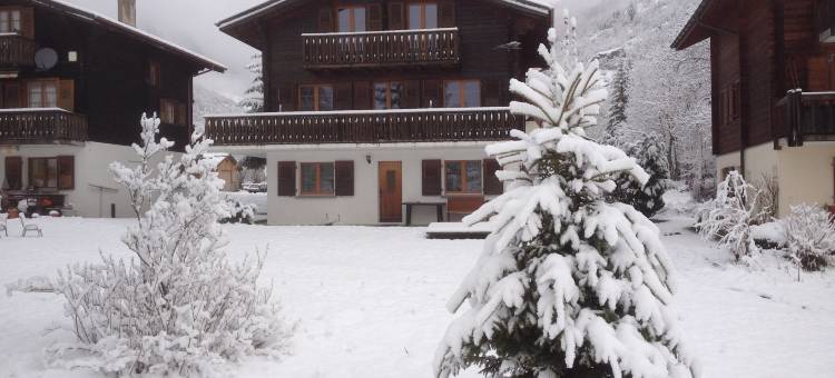 Apartment in Fieschertal with Swiss Alps Views图片