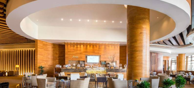 古赖尔瑞士生活酒店(Swissôtel Living Al Ghurair)图片