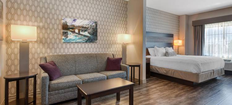 贝斯特韦斯特优质圣彼得优质酒店(Best Western Plus Saint Peter)图片