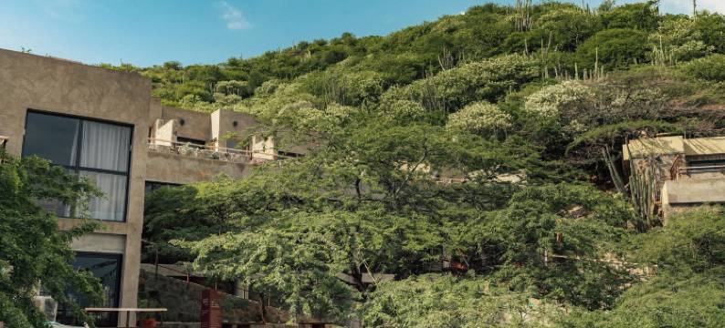 珀拉罗卡精品酒店 - 海滨(Perla Roca Hotel Boutique - Beach Front)图片