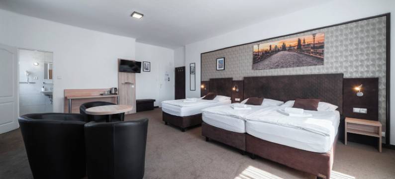 霍默斯拉尼旅馆(Penzion Homér Slaný)图片