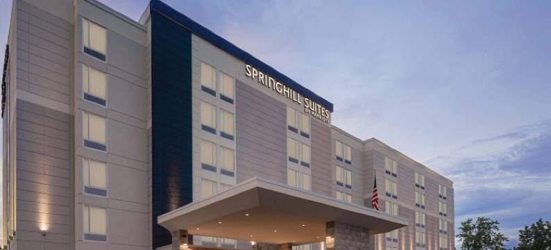 SpringHill套房由万豪酒店 东拉瑟福德梅多兰/卡尔斯塔特(SpringHill Suites East Rutherford Meadowlands/Carlstadt)图片