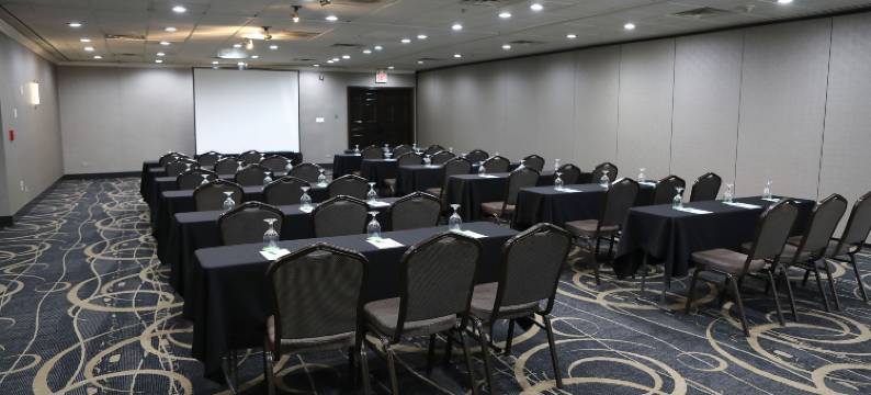 Holiday Inn 芝加哥OAKBROOK(Holiday Inn CHICAGO OAKBROOK by IHG)图片