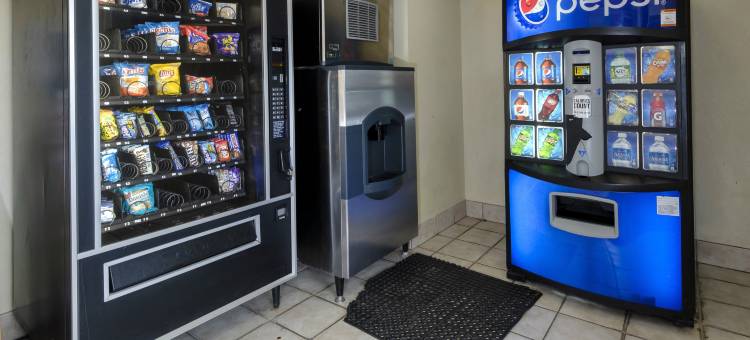 坦帕-布兰登红顶酒店(Red Roof Inn Tampa - Brandon)图片