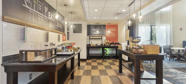 希尔顿欢朋套房酒店-奥兰多阿波普卡(Hampton Inn & Suites Orlando-Apopka)图片