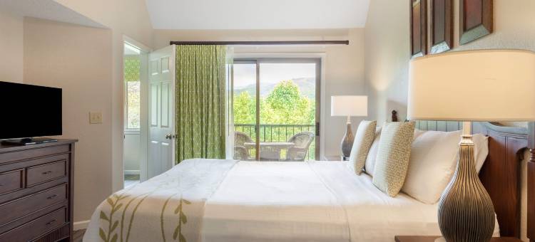 Hilton Vacation Club MountainLoft Gatlinburg图片