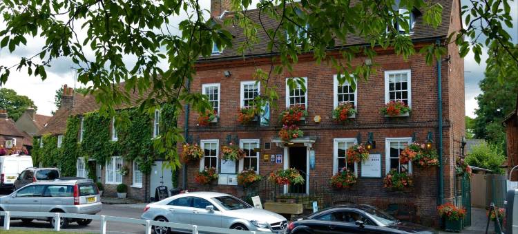 猎鹰旅馆(Falcon Inn)图片