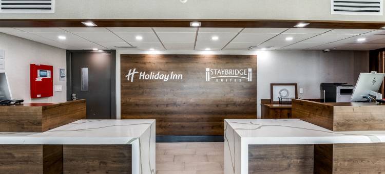 达拉斯市场中心爱田假日酒店(Holiday Inn DALLAS MARKET CTR LOVE FIELD by IHG)图片