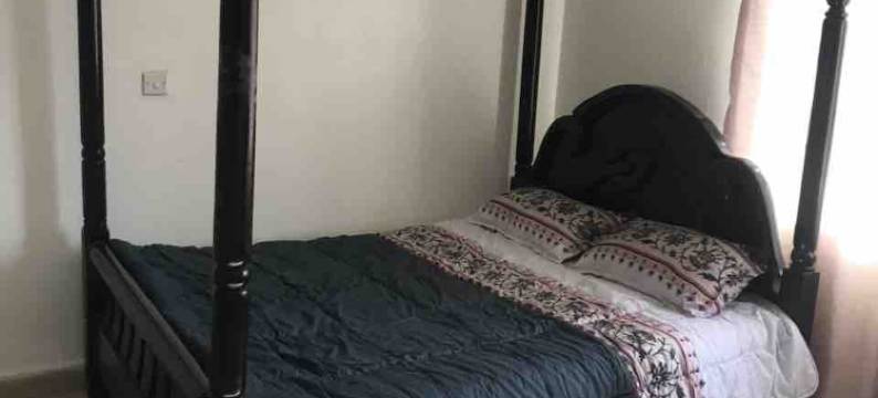 Kareber Deluxe - Gulu图片