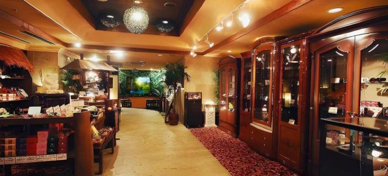 横滨关内店 巴厘安度假酒店(仅限成人)(Hotel BaliAn Resort Yokohama Kannai - Adult Only)图片