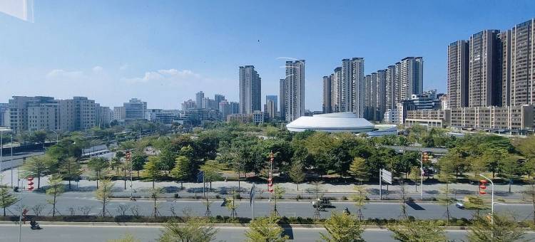 嘉宸悦客城市酒D式公寓(怀汉路分店)图片