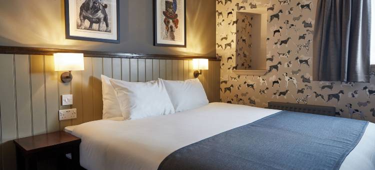 国王头晚安酒店(Kings Head by Chef & Brewer Collection)图片