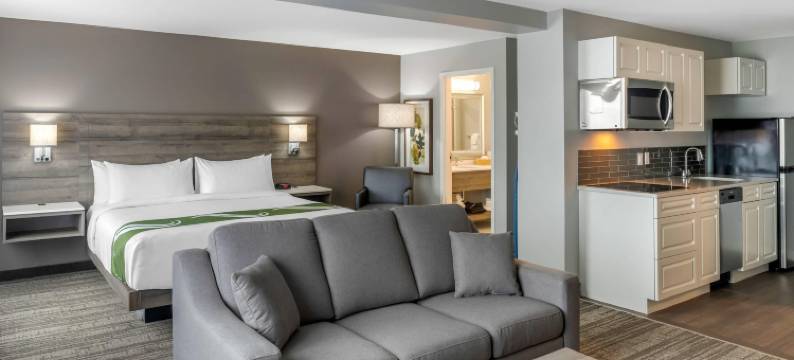 阿姆斯特丹凯艺套房酒店(Quality Inn & Suites Amsterdam)图片