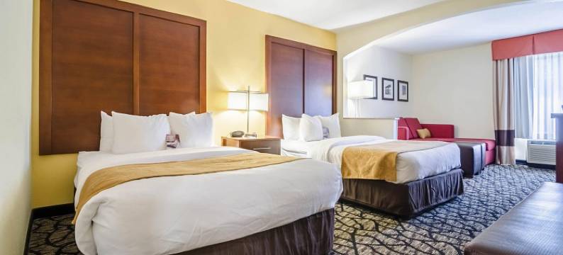 因斯布鲁克-舒特庞普舒适套房酒店(Comfort Suites Innsbrook - Short Pump)图片