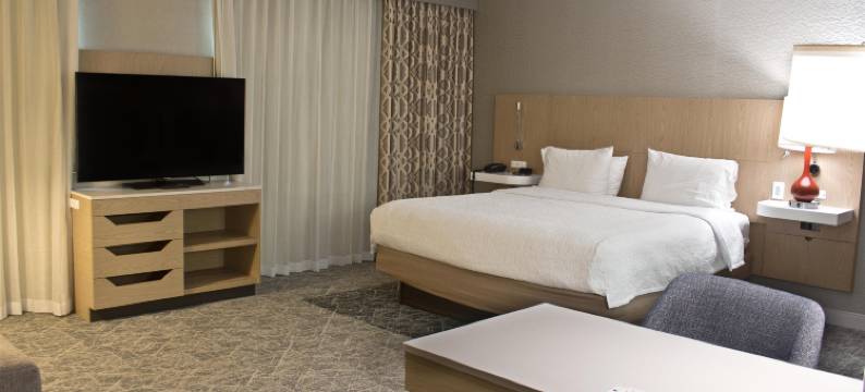 丹佛-斯佩尔大道欢朋套房酒店(Hampton Inn & Suites Denver-Speer Boulevard)图片