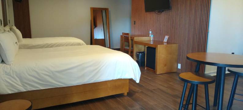 HOTEL CONSTITUCION图片