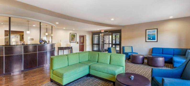 舒适套房酒店(Comfort Suites)图片