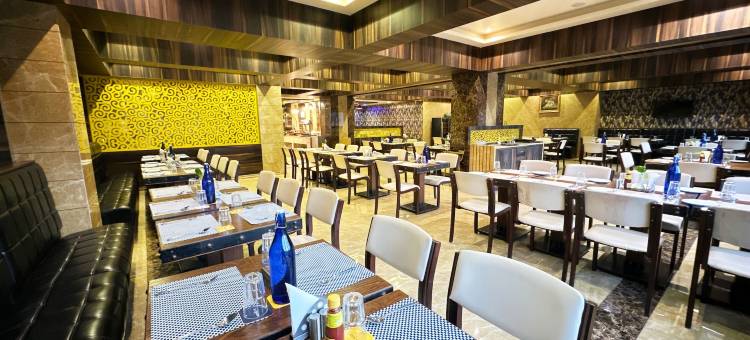 金色郁金香酒店库卡斯齐普尔(Golden Tulip Kukas Jaipur)图片