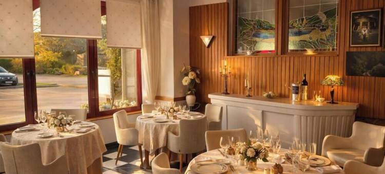洛吉斯湖泊酒店及餐厅(Logis Hôtel & Restaurant des Lacs)图片