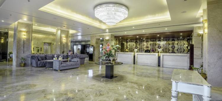 金色郁金香酒店库卡斯齐普尔(Golden Tulip Kukas Jaipur)图片