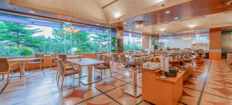 千岁特雷斯大酒店(Hotel Grand Terrace Chitose)图片
