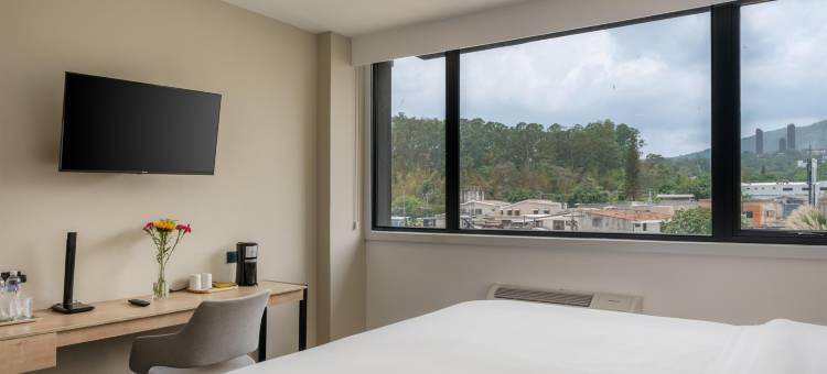 特拉萨贝斯特韦斯特优质酒店(Best Western Plus Hotel Terraza)图片