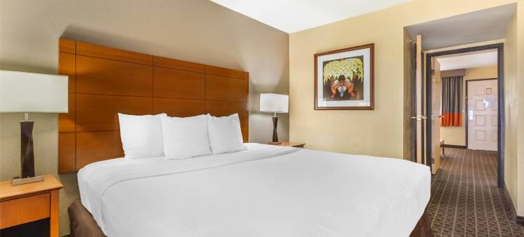 斯科特斯德雷鸟贝斯特韦斯特优质套房酒店(Best Western Plus Scottsdale Thunderbird Suites)图片
