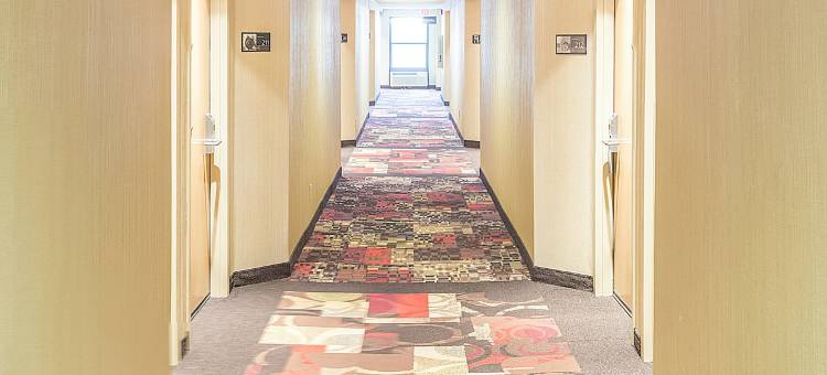 查塔努加/希克森欢朋酒店(Hampton Inn Chattanooga/Hixson)图片