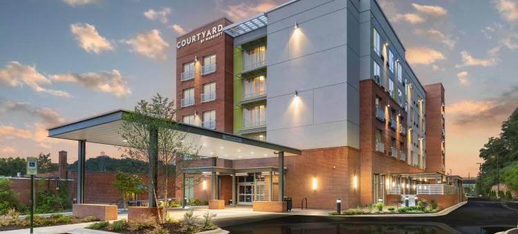 阿什维尔比尔特摩尔村万怡酒店(Courtyard Asheville Biltmore Village)图片