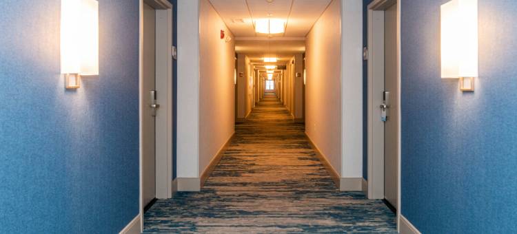 希尔顿花园酒店，马图恩，伊利诺伊州(Hilton Garden Inn Mattoon)图片