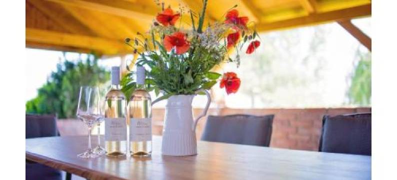 温妮斯克莱普酒店(Vinný Sklep)图片