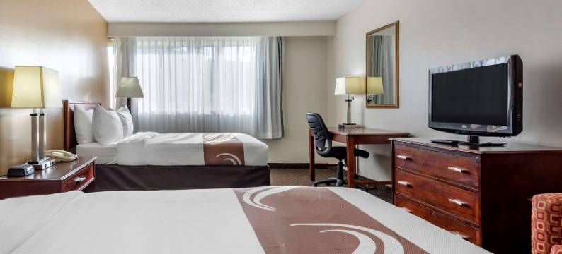 维斯塔尔宾汉顿近大学凯艺套房酒店(Quality Inn & Suites Vestal Binghamton Near University)图片