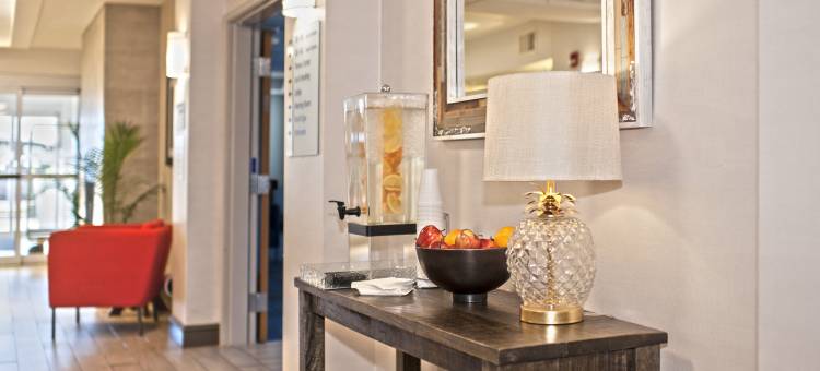 洲际酒店集团智选假日酒店及套房查纳森(Holiday Inn Express & Suites CHANHASSEN by IHG)图片