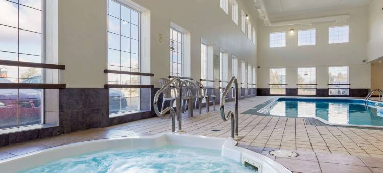 舒适酒店(Comfort Inn)图片