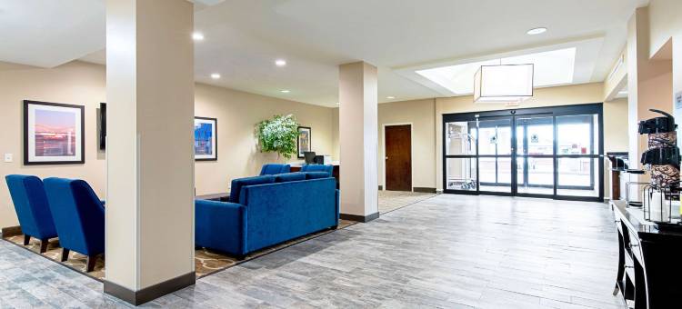 派恩布鲁夫舒适套房酒店(Comfort Inn & Suites Pine Bluff)图片