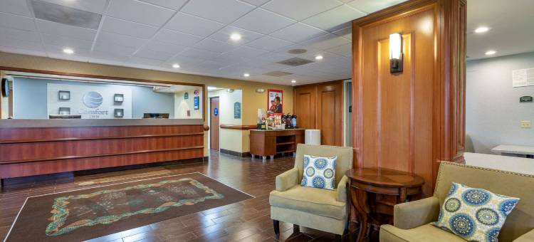 阿纳海姆度假村舒适酒店(Comfort Inn Anaheim Resort)图片