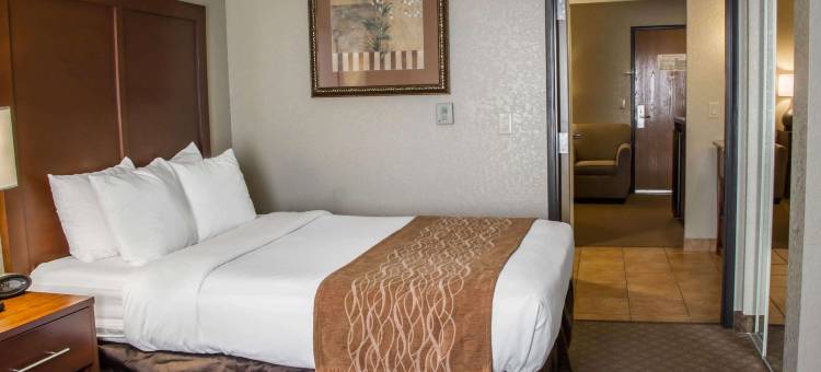 拉克兰海洋世界舒适套房酒店(Comfort Suites Near Seaworld)图片