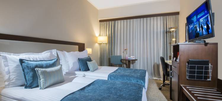 丽笙蓝标酒店-安卡拉(Radisson Blu Hotel, Ankara)图片