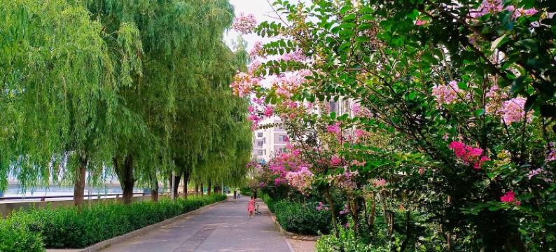 金梦海湾精品海景民宿(汤河道1号分店)图片