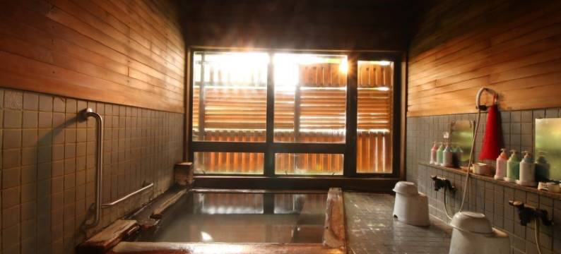 藏王勒贝尔酒店(Le Vert Zao)图片