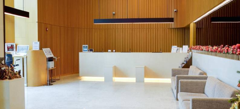 首尔东大门相铁喜普乐吉酒店(SOTETSU HOTELS THE SPLAISIR SEOUL DONGDAEMUN)图片