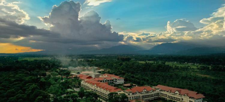 梅菲尔茶度假村(Mayfair Tea Resort)图片