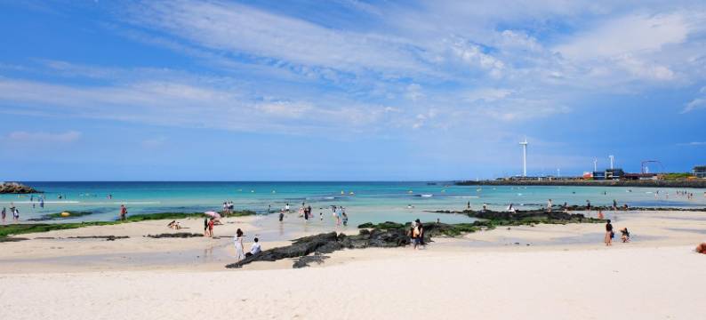 济州月汀里旅馆(Jeju Woljeongrie)图片