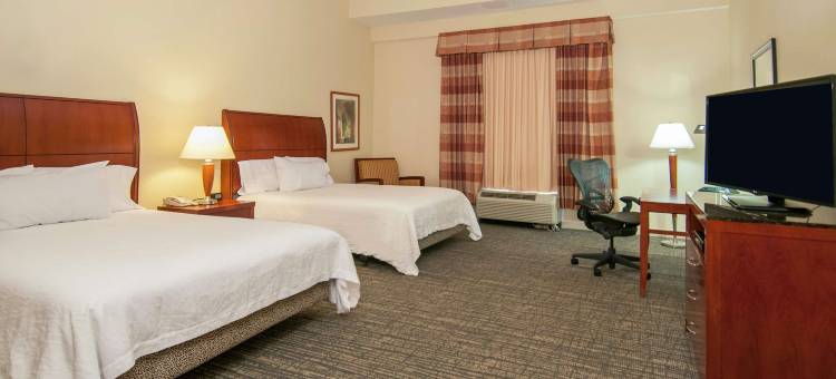 杰克逊明珠希尔顿花园酒店(Hilton Garden Inn Jackson Pearl)图片